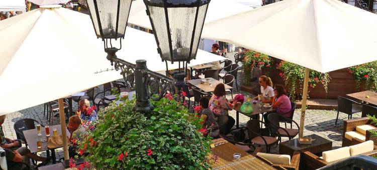 米歇尔施塔特城马克公园酒店(City Hotel Mark Michelstadt)图片