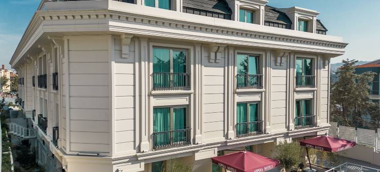 阿斯佩拉阿尔图尼扎德酒店(Aspera Hotel Altunizade)图片