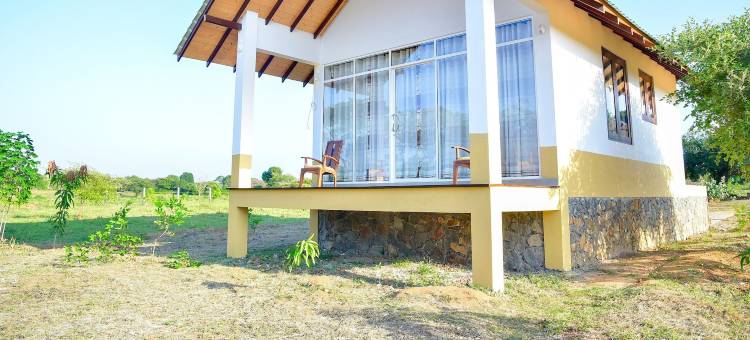 thihawa生态小屋雅拉(Thihawa Eco Huts Yala)图片