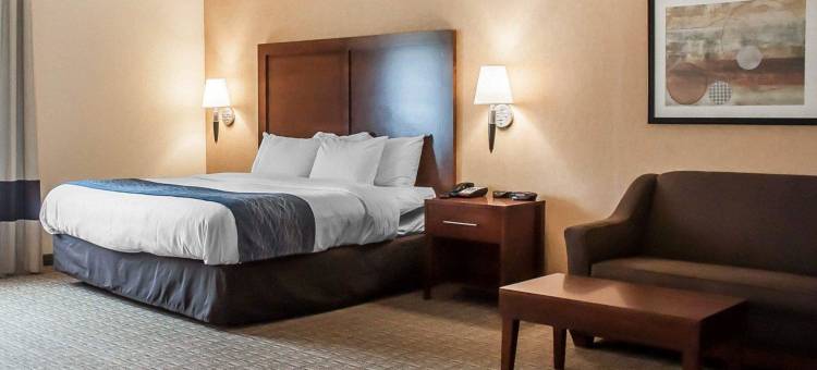 舒适酒店及套房-汉堡-南布法罗(Comfort Inn & Suites Hamburg - Buffalo South)图片