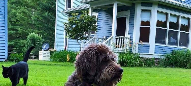 劳雷尔河俱乐部床和早餐(Laurel River Club Bed & Breakfast or Lrcbnb)图片