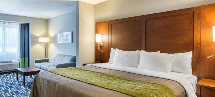 亚什兰帝王之城游乐园附近凯艺套房酒店(Quality Inn & Suites Ashland Near Kings Dominion)图片