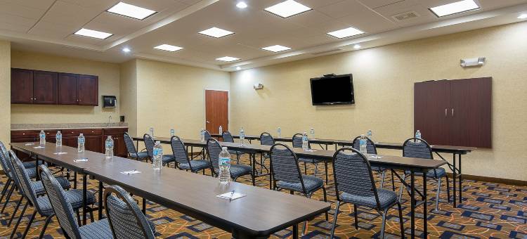 智选假日套房酒店拉斐特西(Holiday Inn Express & Suites Lafayette East)图片