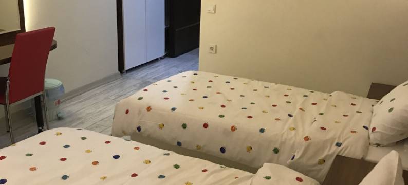 大西洋安卡拉酒店(Ankara Atlantik Otel)图片