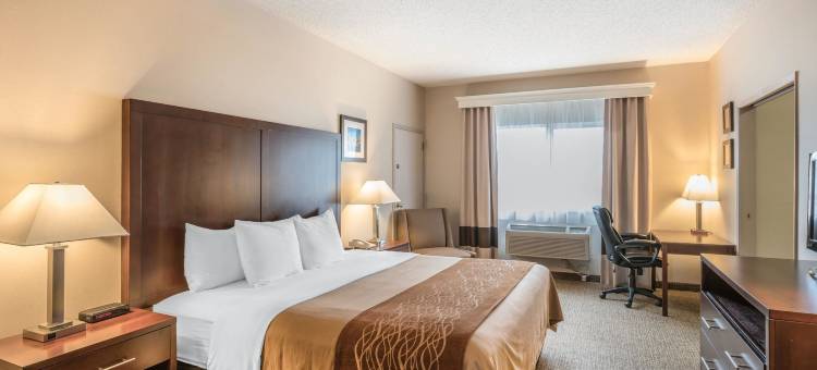 西雅图北舒适套房酒店(Comfort Inn & Suites Seattle North)图片