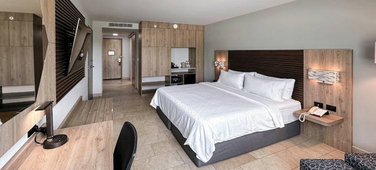 梅尼达智选假日酒店(Holiday Inn Express Merida)图片