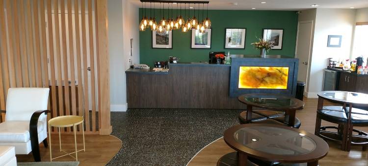 刘易斯河酒店(Lewis River Inn)图片