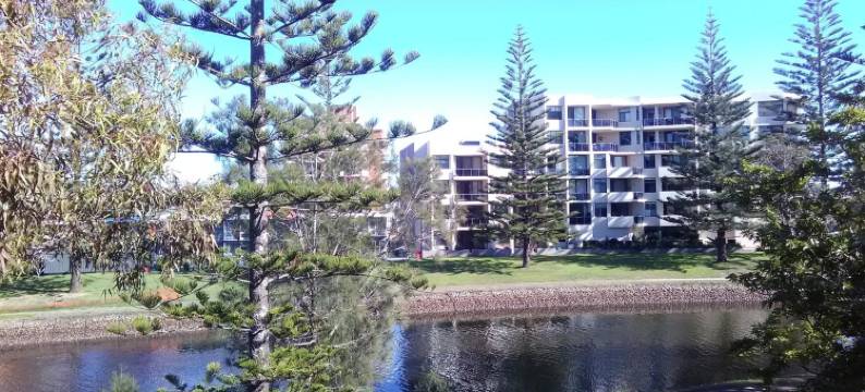 棕榈阁汽车旅馆(Palm Court Motor Inn)图片