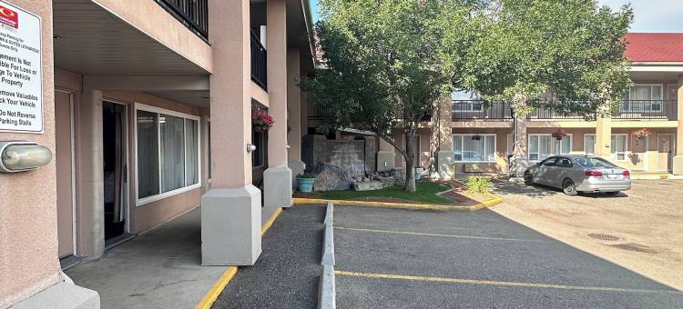 伊克诺套房旅馆(Econo Lodge Inn & Suites)图片