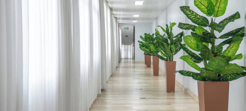 公园景观庭院酒店(Park View Courts)图片