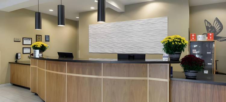 莱西贝斯特韦斯特优质套房酒店(Best Western Plus Lacey Inn  Suites)图片