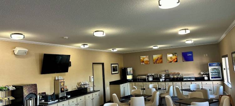 莫林-阔德城舒适酒店(Comfort Inn Moline - Quad Cities)图片