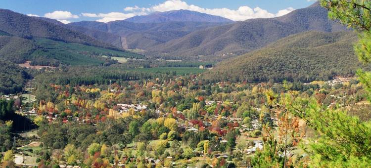 发现公园小屋 - 布莱特(Discovery Parks - Bright)图片