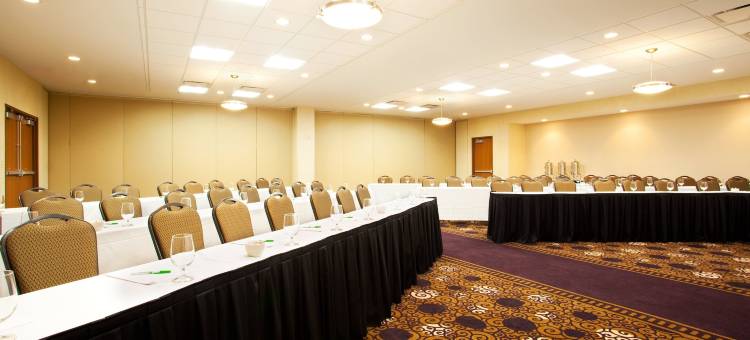 巴特尔克里克假日酒店(Holiday Inn Battle Creek)图片