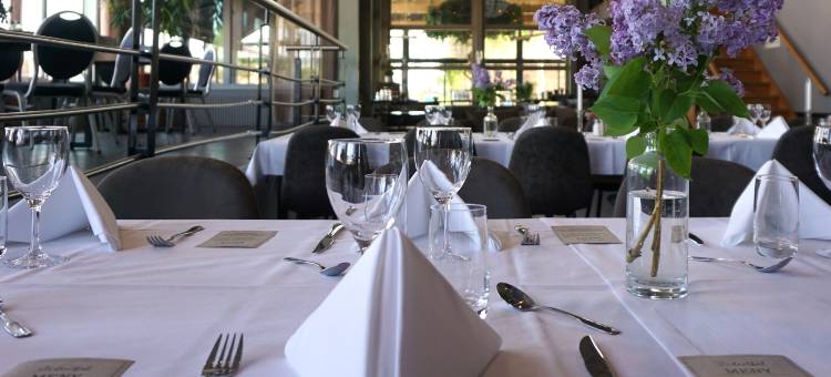 迪纳斯梅勒鲁德(Dinners Mellerud)图片