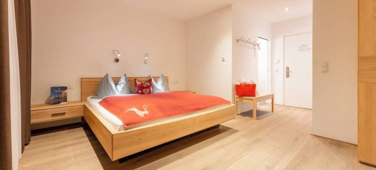达米尔斯高山度假村(Aparthotel Alpinresort Damüls)图片
