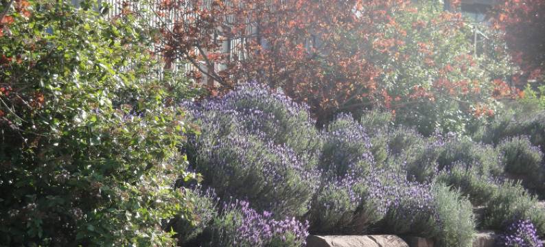 梅里吉格德雷泰特公寓酒店(Delatite Apartments Merrijig)图片