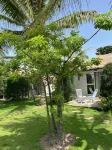 Keur Papaye - Homestay