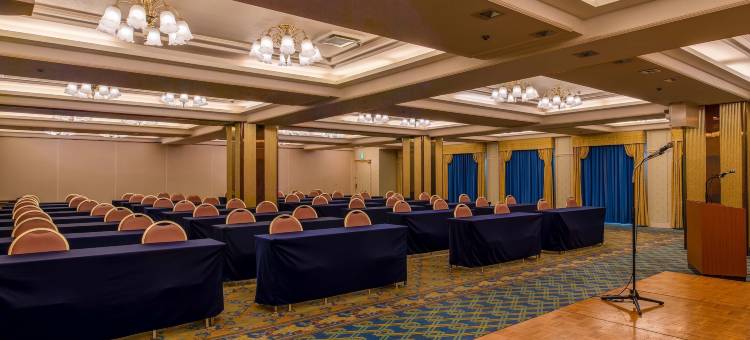 冈山广场华盛顿饭店(Okayama Plaza Hotel)图片