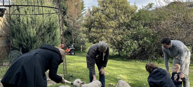 拉斯莫尔酒店(Shearers' Quarters Rathmore)图片