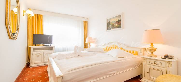 罗马尼勒伊姆帕拉图塞塔特酒店(Hotel Cetate)图片