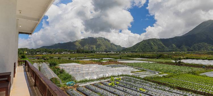 Teras稻田宾馆Syariah(Teras Sawah Guest House Syariah)图片