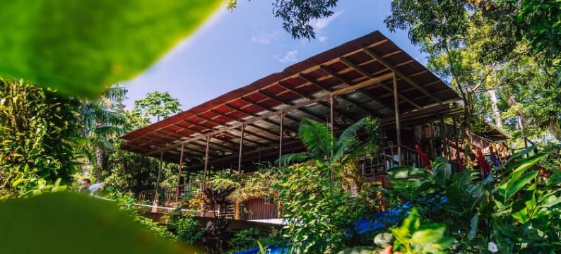 巴姆布达旅舍(Bambuda Lodge)图片