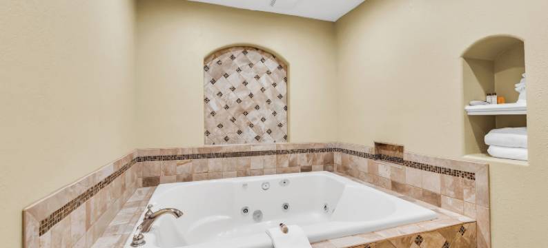 东湖套房(Eastlake Suites Hotel & Conference Center by OYO Urbana)图片