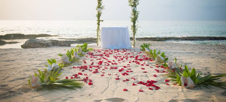 酷美奴海滩度假村(El Cozumeleño Beach Resort - All Inclusive)图片