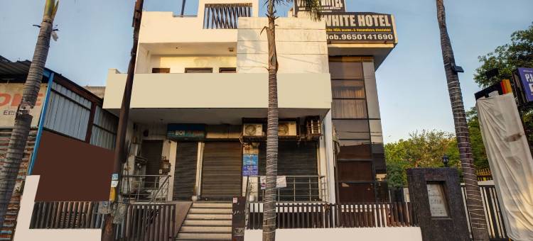 瓦松达拉白色酒店(Hotel White at Vasundhara)图片