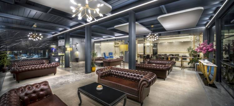 安卡拉市中心酒店(Downtown Ankara Hotel)图片