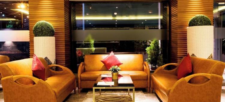 T 酒店(The T Hotels)图片