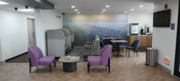 富兰克林舒眠旅馆 - 酷泉(Sleep Inn Franklin - Cool Springs)图片