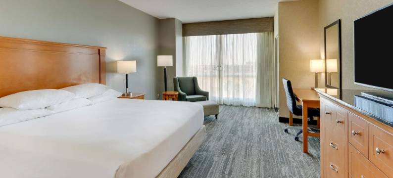 德鲁里套房酒店-环球奥兰多度假村(Drury Inn & Suites Orlando Near Universal Orlando Resort)图片