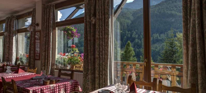 沙莫伊酒店(Hotel le Chamois Logis)图片