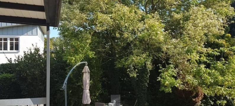 X 酒店(Xotel)图片