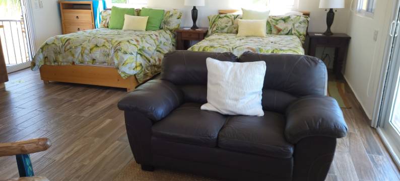 卡萨弗洛雷斯小屋(Casa Flores Casitas)图片