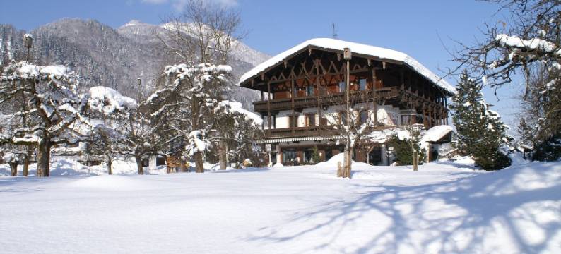 艾尔鹏豪弗兰德酒店餐厅(Alpenhof Landhotel Restaurant)图片