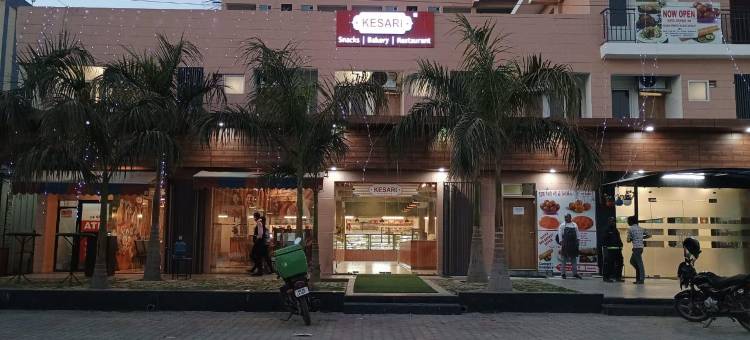 JPS棕榈客栈酒店(HOTEL JPS PALM INN)图片