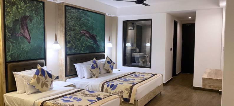 翡翠湾度假村-米瑞莎(Emerald Bay Resort Mirissa)图片