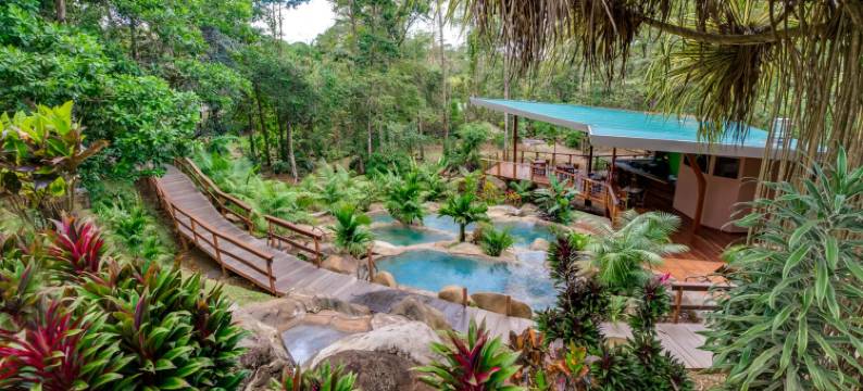 查查古亚雨林旅馆及温泉(Chachagua Rainforest Hotel & Hot Springs)图片