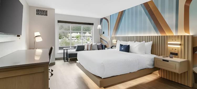 北康威的Cambria酒店(Cambria Hotel North Conway)图片
