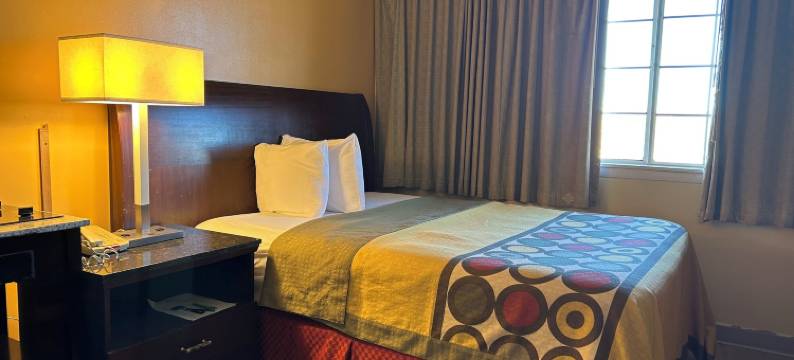 开间公寓(Studio Apartments)图片