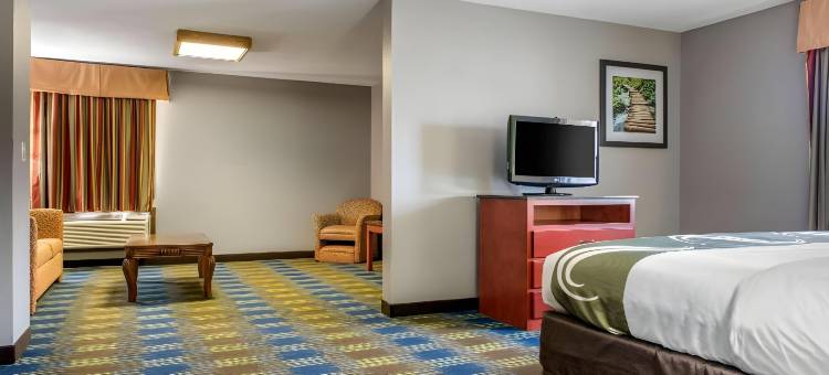 西贝德福德凯艺套房酒店(Quality Inn & Suites Bedford West)图片