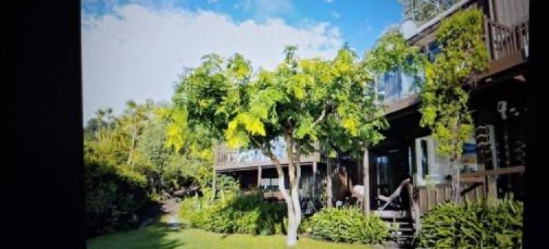 Rangimarie Anaura Bay Beachstay图片