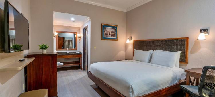 温德姆花园酒店-新奥尔良巴罗纳广场(Wyndham Garden Baronne Plaza New Orleans)图片