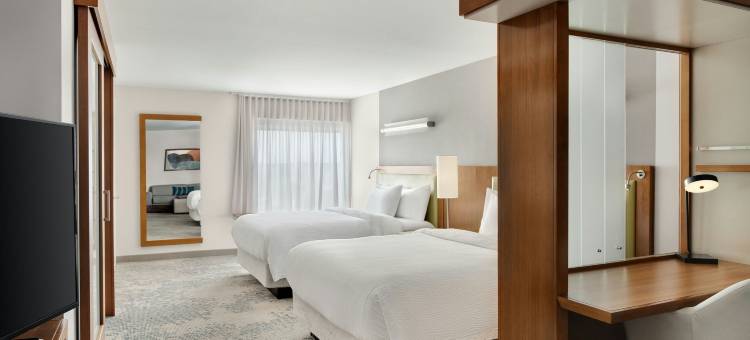 印第安纳州芝加哥东南/明斯特SpringHill Suites酒店(SpringHill Suites Chicago Southeast/Munster, IN)图片