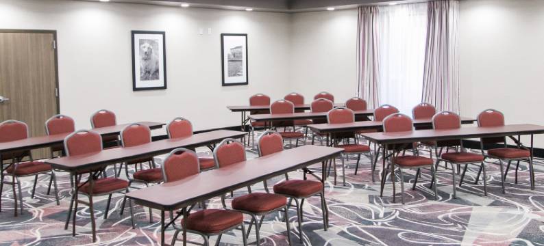 东阿马里洛欢朋套房酒店(Hampton Inn & Suites Amarillo-East)图片