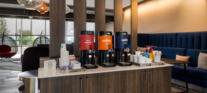 诺维底特律希尔顿特鲁酒店(Tru by Hilton Novi Detroit)图片