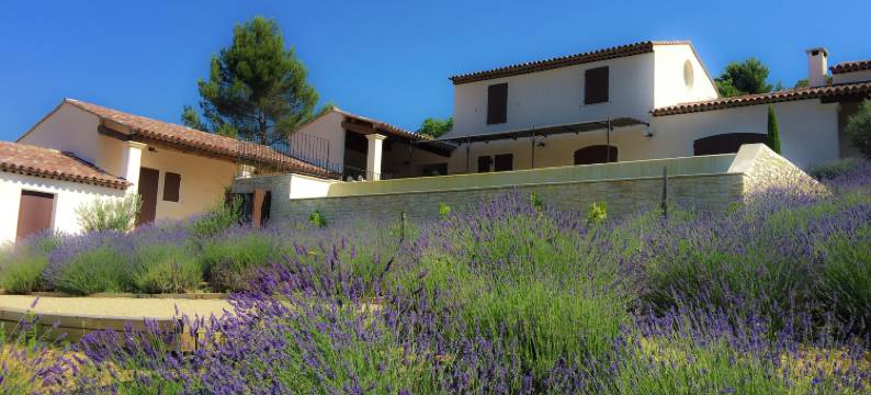 Villa in Provence with Infinity Pool图片